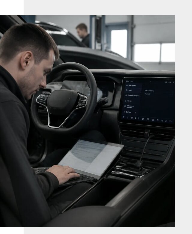 Русификация автомобилей BYD под ключ для всех моделей в Химках