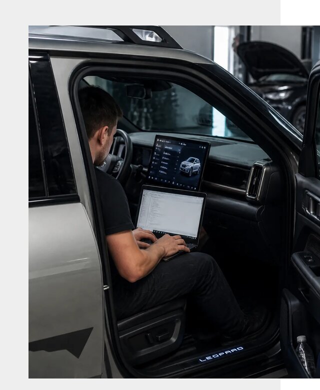 Русификация BYD Leopard 3 в Химках по цене от 20630 р. | ФастМобиль-Хмк